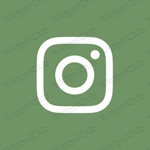 Æstetiske Instagram app-ikoner