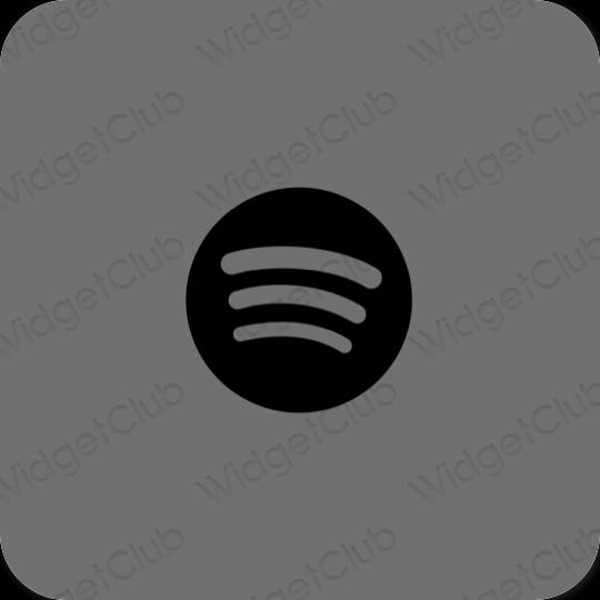 Estetico grigio Spotify icone dell'app