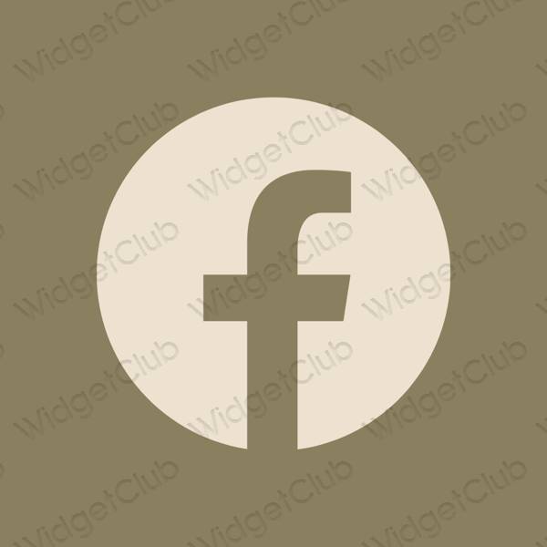 Icônes d'application Facebook esthétiques