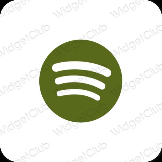 Aesthetic Spotify app icons