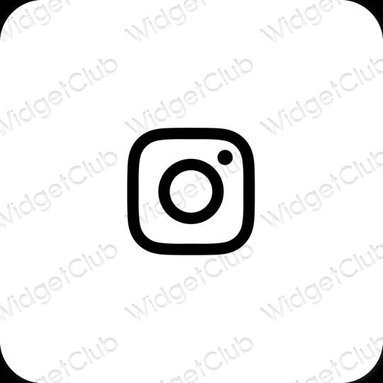 Icônes d'application Instagram esthétiques