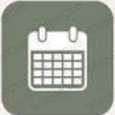 Icone delle app Calendar estetiche