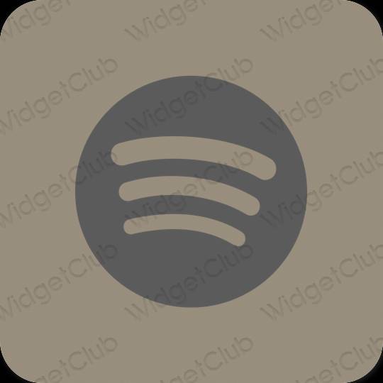 Esthetische Spotify app-pictogrammen