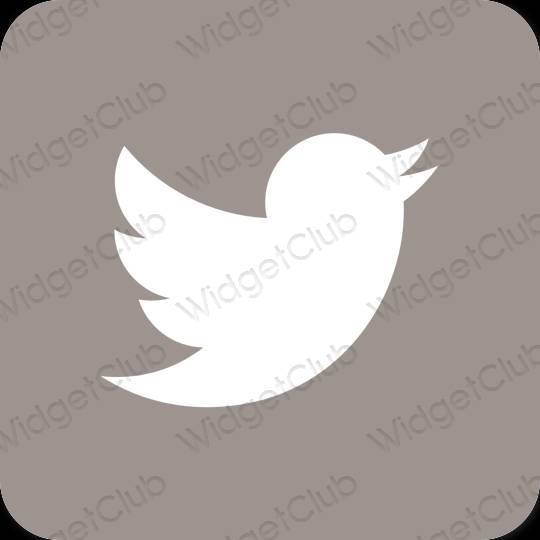 Icônes d'application Twitter esthétiques