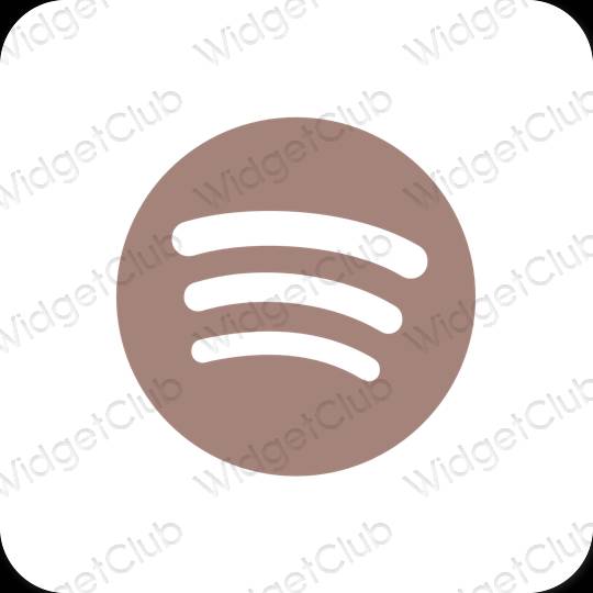 Esthetische Spotify app-pictogrammen