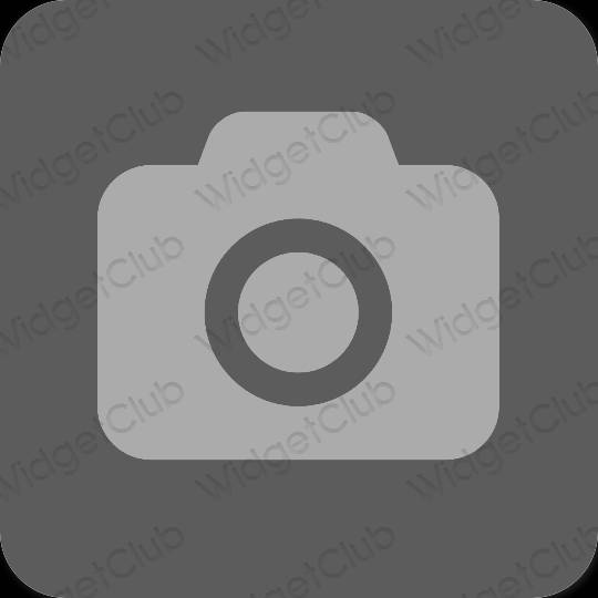 Estetico grigio Camera icone dell'app