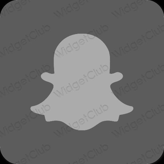 Естетичен сиво snapchat икони на приложения