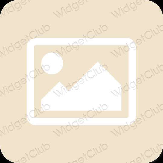 Aesthetic beige Photos app icons