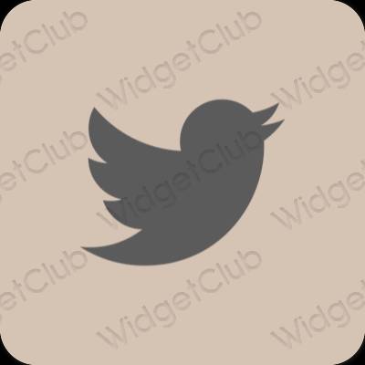 Estético beige Twitter iconos de aplicaciones