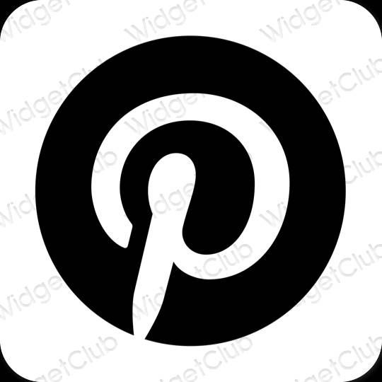 Icônes d'application Pinterest esthétiques