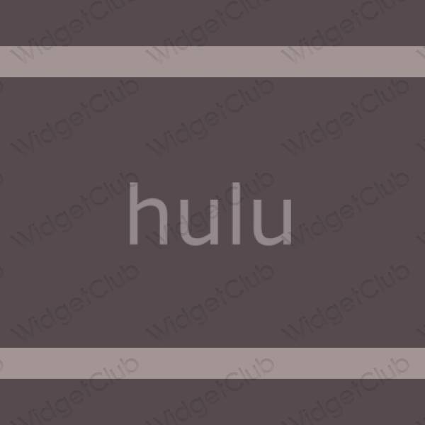 Estetik hulu proqram nişanları