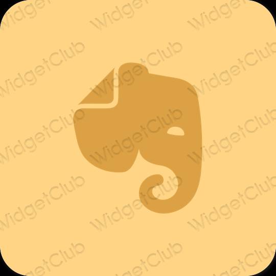 Estetisk brun Evernote app ikoner
