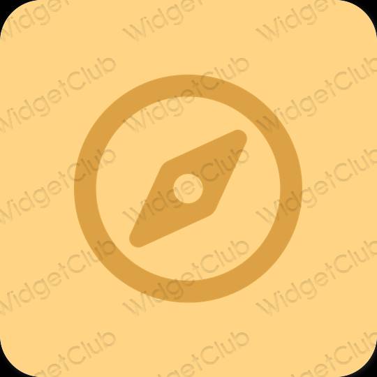 미적인 갈색 Safari 앱 아이콘