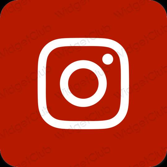 美學Instagram 應用程序圖標