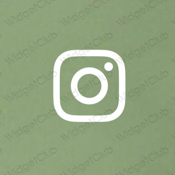 Ästhetische Instagram App-Symbole