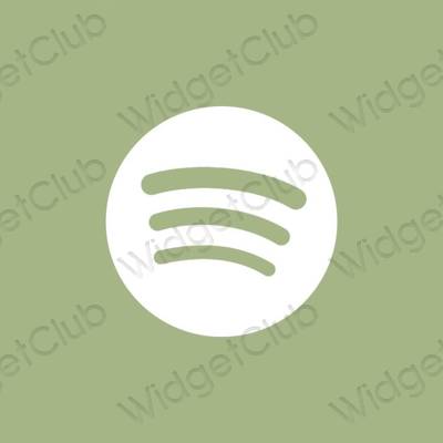 Esthetische Spotify app-pictogrammen