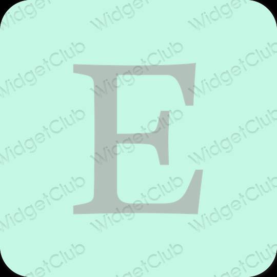 Aesthetic pastel blue Etsy app icons