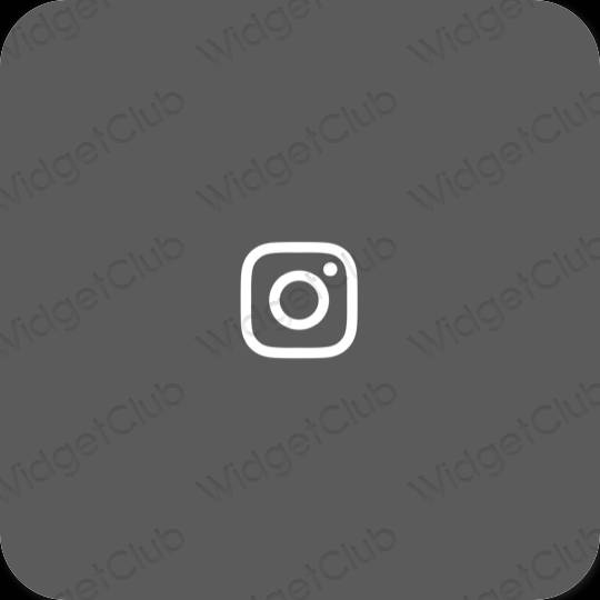 审美的 灰色的 Instagram 应用程序图标