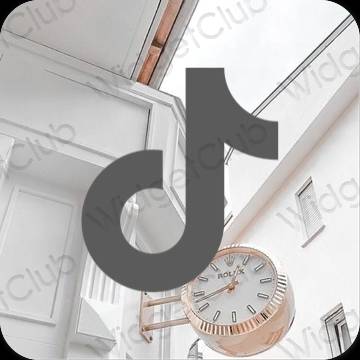 Aesthetic gray TikTok app icons