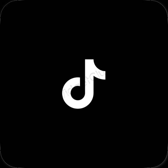 រូបតំណាងកម្មវិធី TikTok សោភ័ណភាព