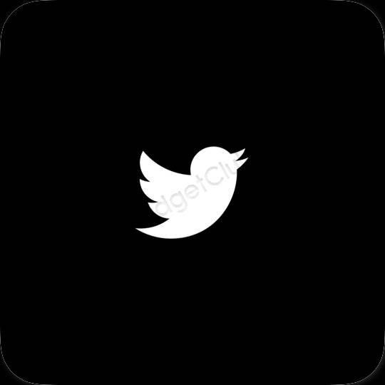 រូបតំណាងកម្មវិធី Twitter សោភ័ណភាព