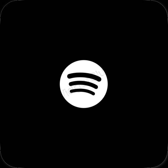 រូបតំណាងកម្មវិធី Spotify សោភ័ណភាព