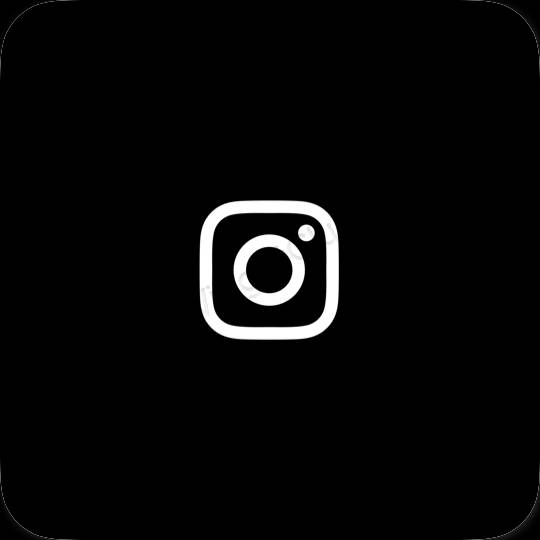 Aesthetic Instagram app icons