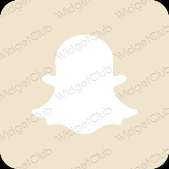 Estetico beige snapchat icone dell'app