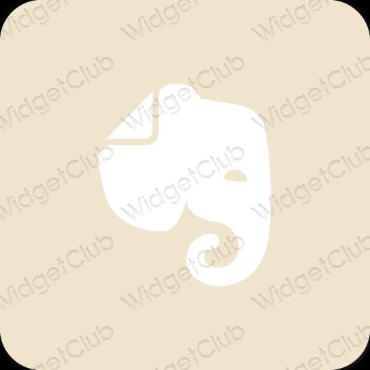 Estetický béžový Evernote ikony aplikací