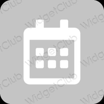 Stijlvol grijs Calendar app-pictogrammen