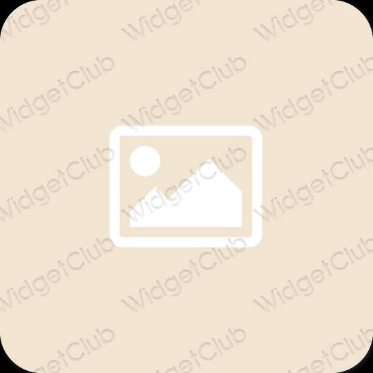 Aesthetic beige Photos app icons