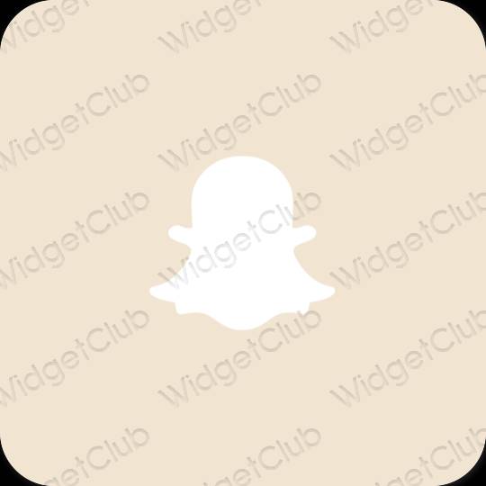 Estetico beige snapchat icone dell'app