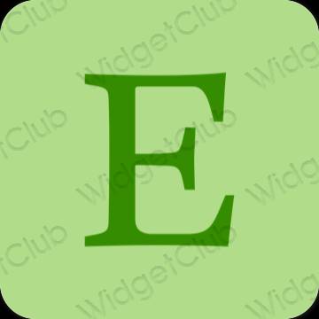 Estética Etsy ícones de aplicativos