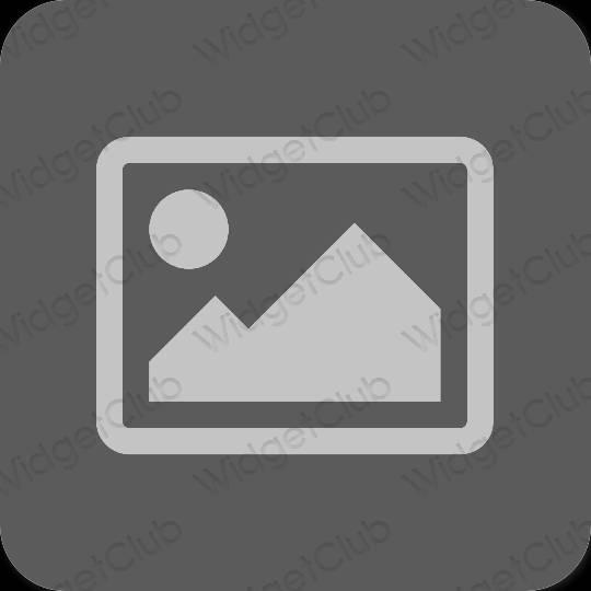 Estetico grigio Photos icone dell'app