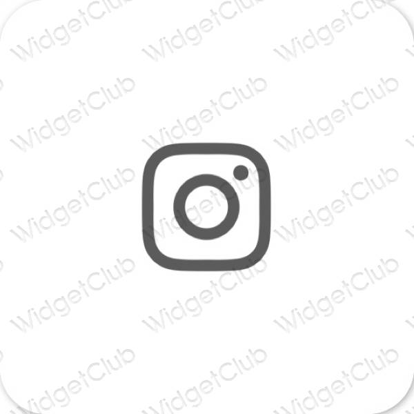 美学Instagram 应用程序图标