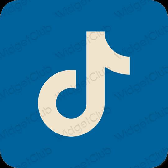 Æstetisk blå TikTok app ikoner