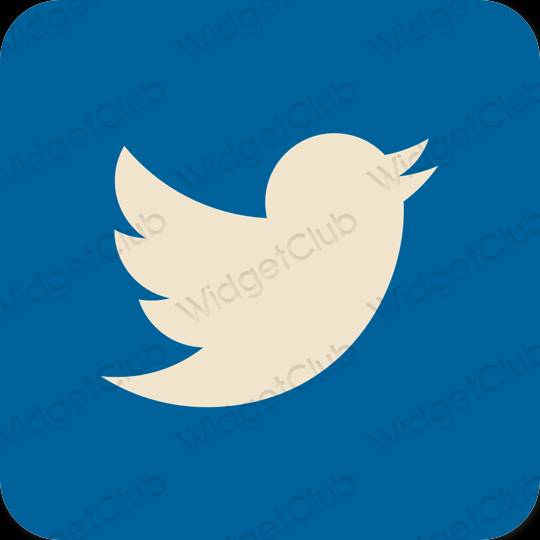 审美的 蓝色的 Twitter 应用程序图标