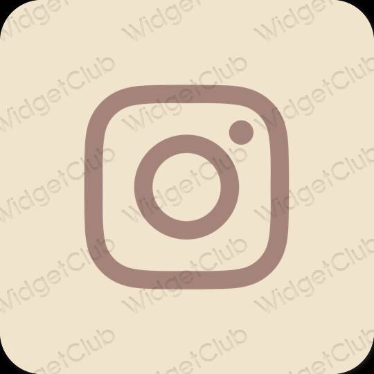 សោភ័ណ បន៍ត្នោតខ្ចី Instagram រូបតំណាងកម្មវិធី
