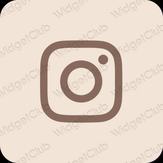 審美的 淺褐色的 Instagram 應用程序圖標