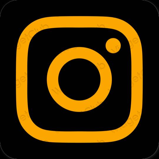 审美的 橘子 Instagram 应用程序图标