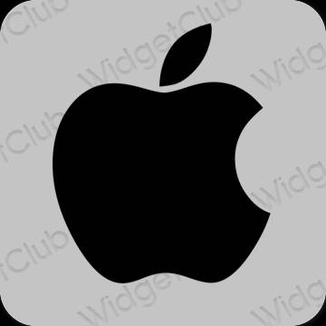 សោភ័ណ ប្រផេះ Apple Store រូបតំណាងកម្មវិធី