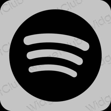 Естетичний сірий Spotify значки програм