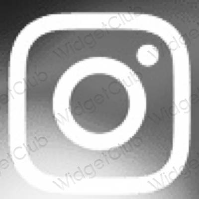 Æstetiske Instagram app-ikoner