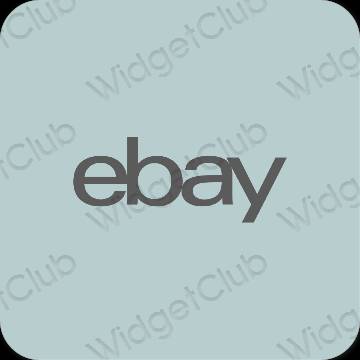 Thẩm mỹ màu xanh lá eBay biểu tượng ứng dụng
