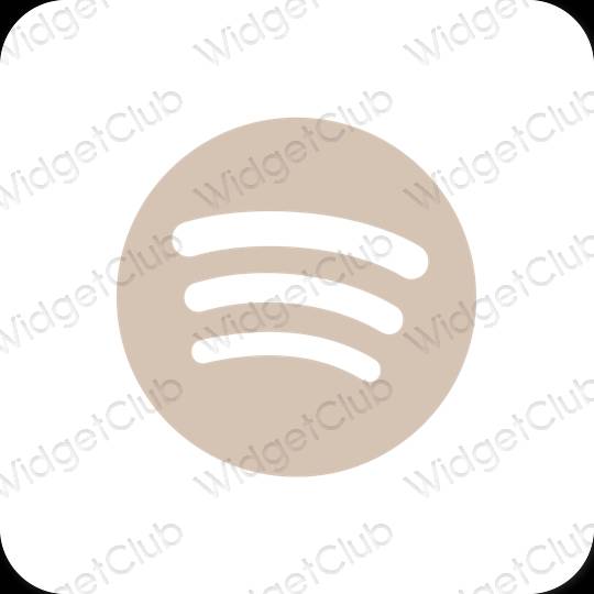 Esthetische Spotify app-pictogrammen