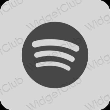 Ästhetische Spotify App-Symbole