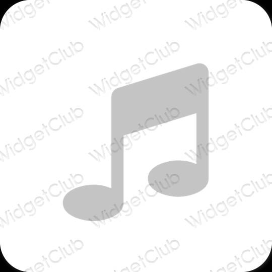 Esthetische Apple Music app-pictogrammen