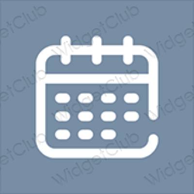 Icônes d'application Calendar esthétiques