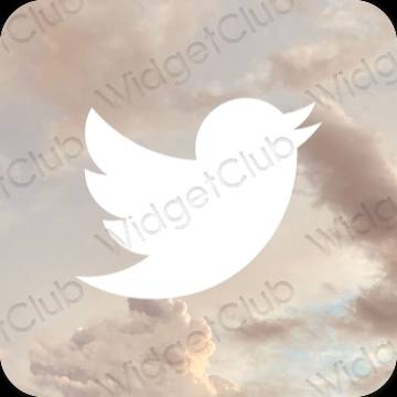 Icônes d'application Twitter esthétiques