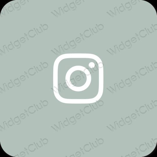 Естетичен зелено Instagram икони на приложения